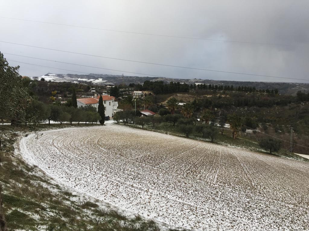 Le Limonaie A Mare Villa Сан Бенедето дел Тронто Екстериор снимка